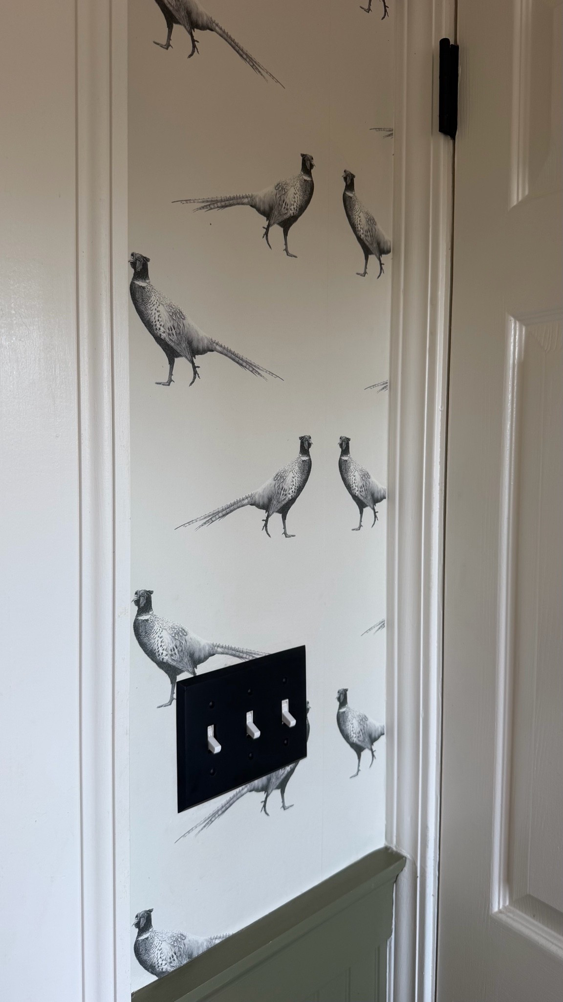added a more durable light switch! these are my favorite.

#LTKHome #LTKOver40