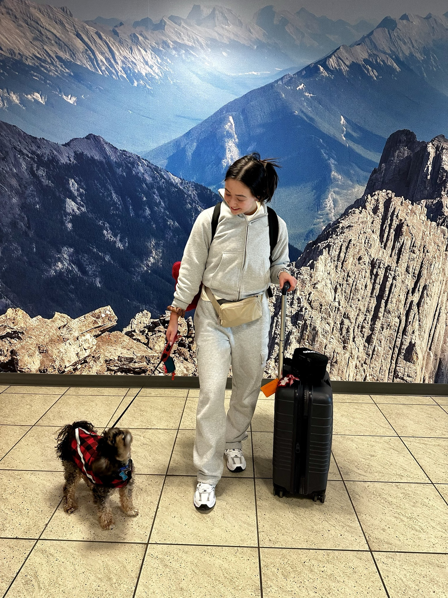 The ultimate travel suit, Aritzia wasn’t lying when they said it was perfect gift for the jet setter 🛫

#LTKGiftGuide #LTKtravel #LTKaustralia