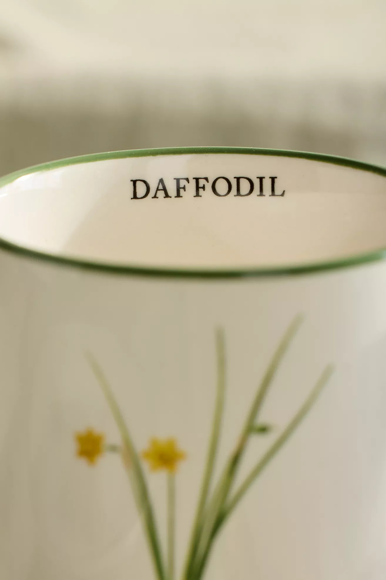 Spring Botanical Stoneware Mug | Anthropologie (US)