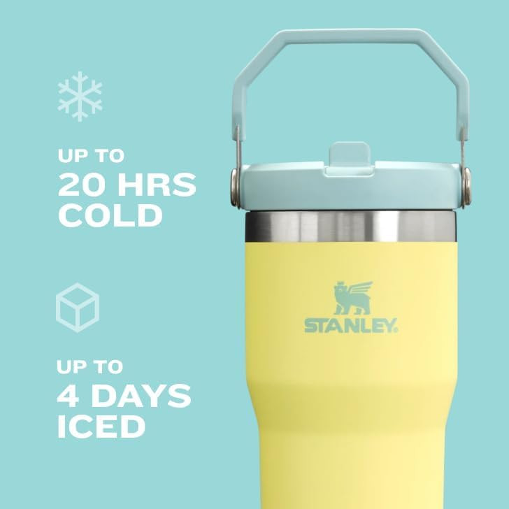 STANLEY IceFlow 2.0 Flip Straw Tumbler with Handle 30 oz | Twist On Lid and Flip Up Straw | Leak ... | Amazon (US)