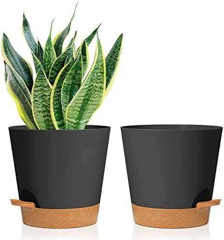 T4U 8 Inch Plastic Planters - Indoor Self Watering Planter Flower Pot with Drainage Hole Black, Medi | Amazon (US)