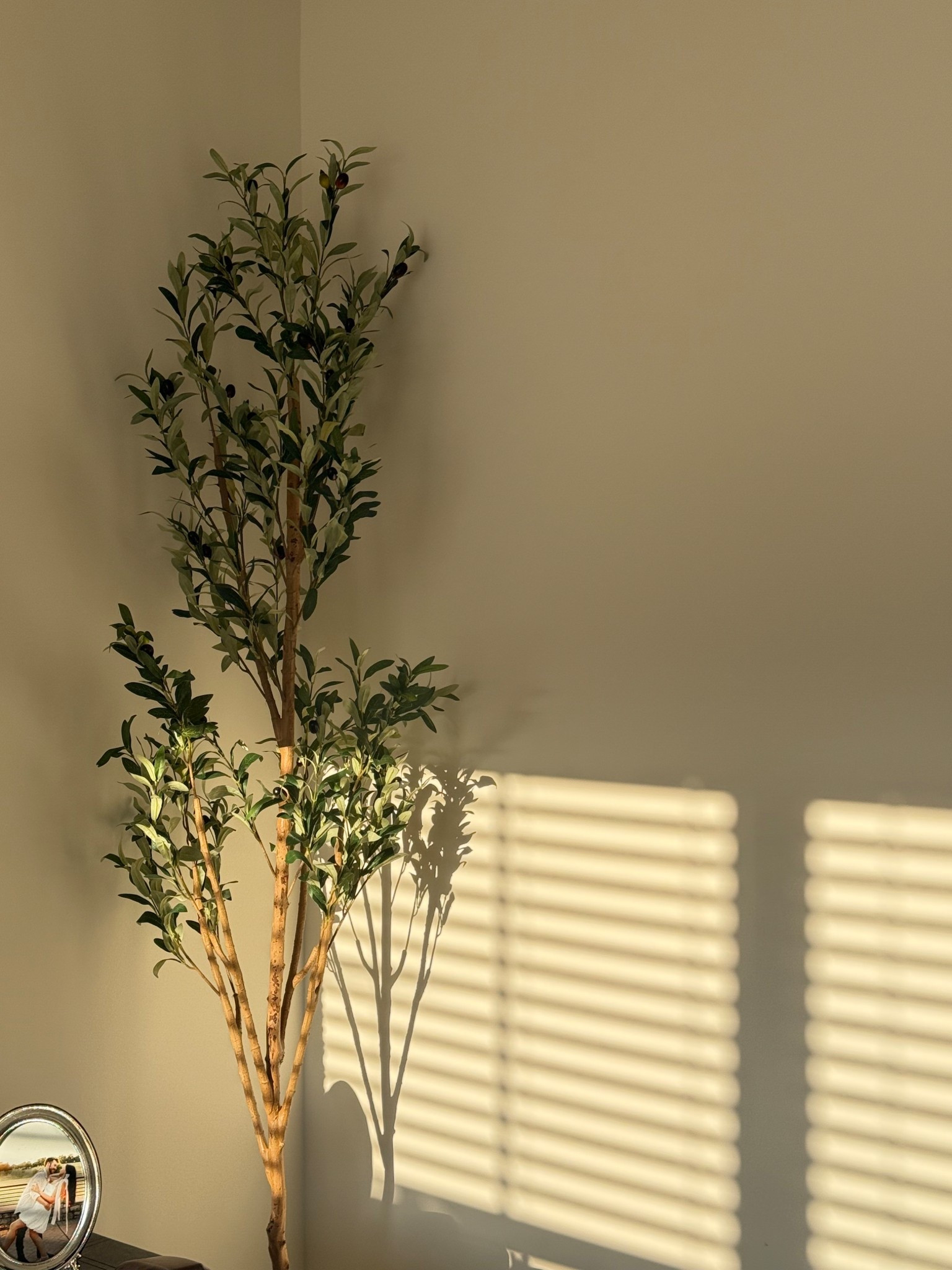 This faux olive tree from Walmart being under $50 is all I want to talk about right now!!! The best faux olive tree I’ve ever seen for $44!!!!! The prettiest way to elevate any space!

#LTKvlog #LTKHome #LTKSaleAlert