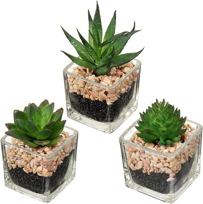 Artificial Succulents Small Fake Succulent in Glass Pots Mini Faux Potted Succulent Decor for Win... | Amazon (US)