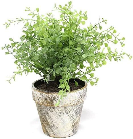 Silk Road Home Light Green Boxwood 10 Inch Artificial Topiary Plant in Faux Stone Pot | Amazon (US)