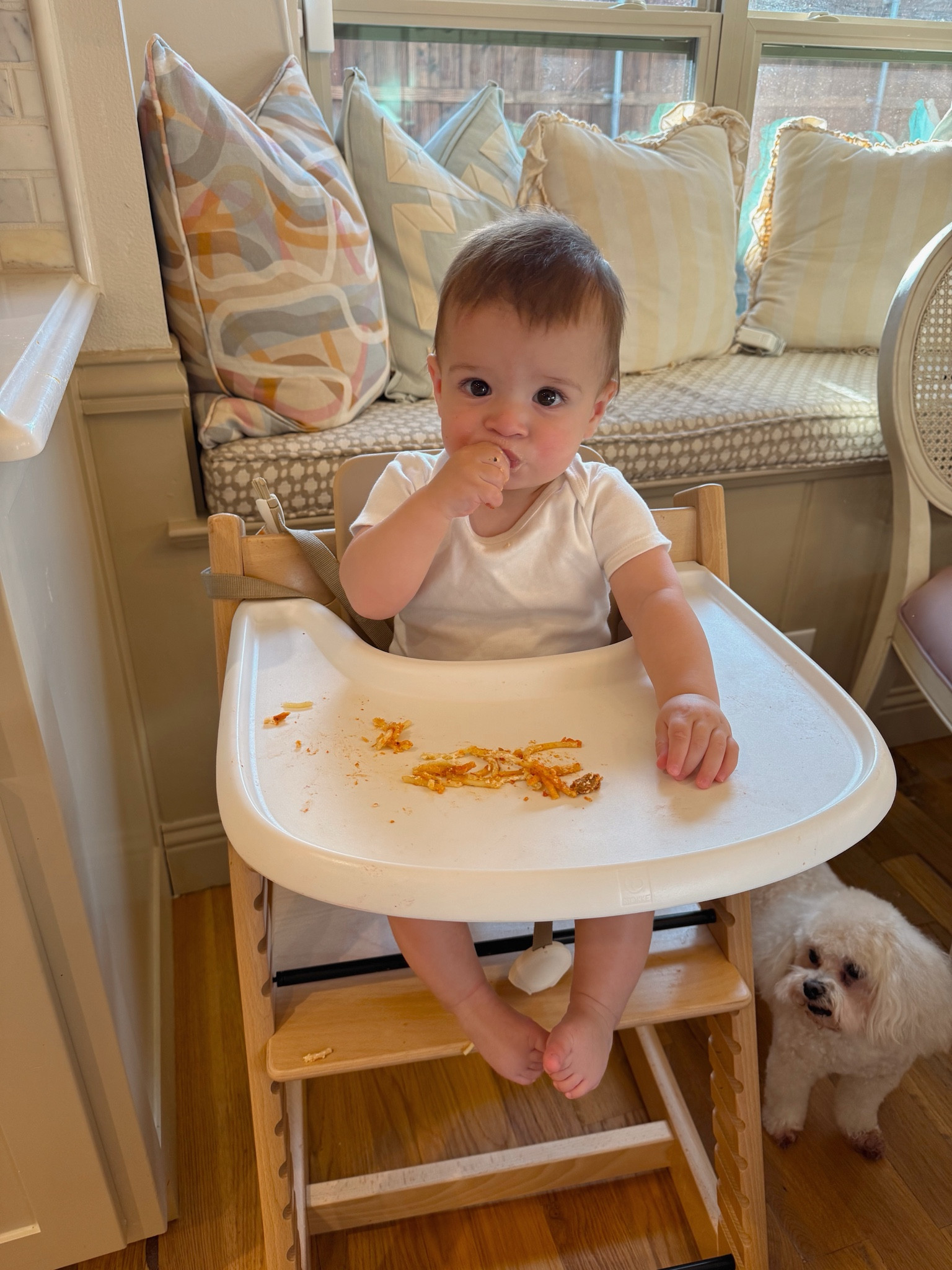 With all 3 kids, I’ve had this high chair at some point! It’s the easiest one to clean! 