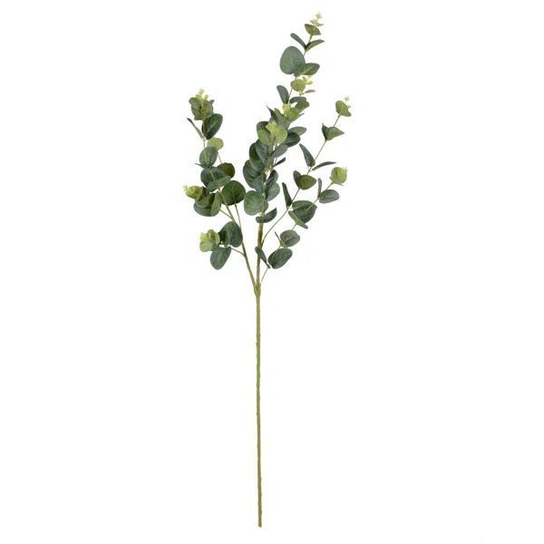 4 Piece Eucalyptus Branch (Set of 4) | Wayfair North America