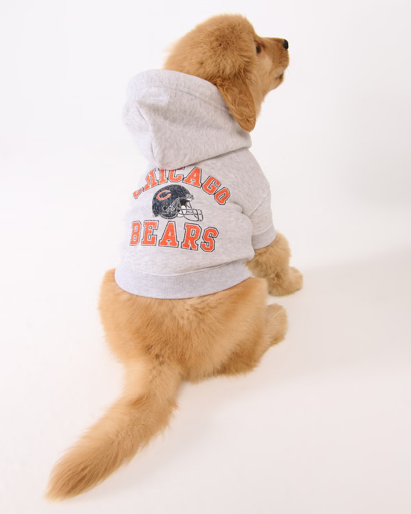Chicago Bears Pet Pupover | Abercrombie & Fitch (US)