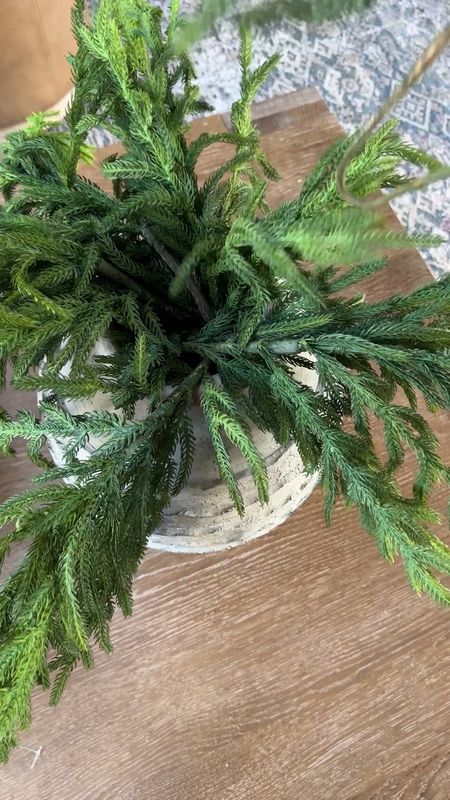 These Afloral Norfolk pine stems are the perfect holiday and winter greenery! They’re perfect on their own styled in a vase, but make the perfect fillers too for any garland decor! 

#LTKhome #LTKHoliday #LTKstyletip