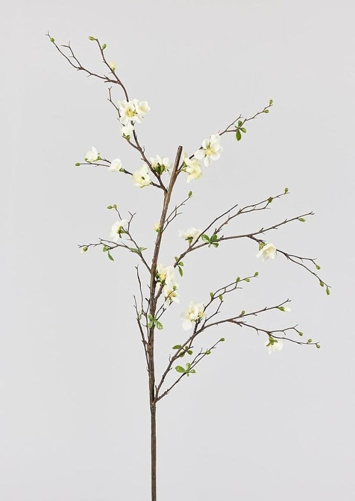 Artificial Flowers | Cream Artificial Blossom Branch - 57" | Amazon (US)