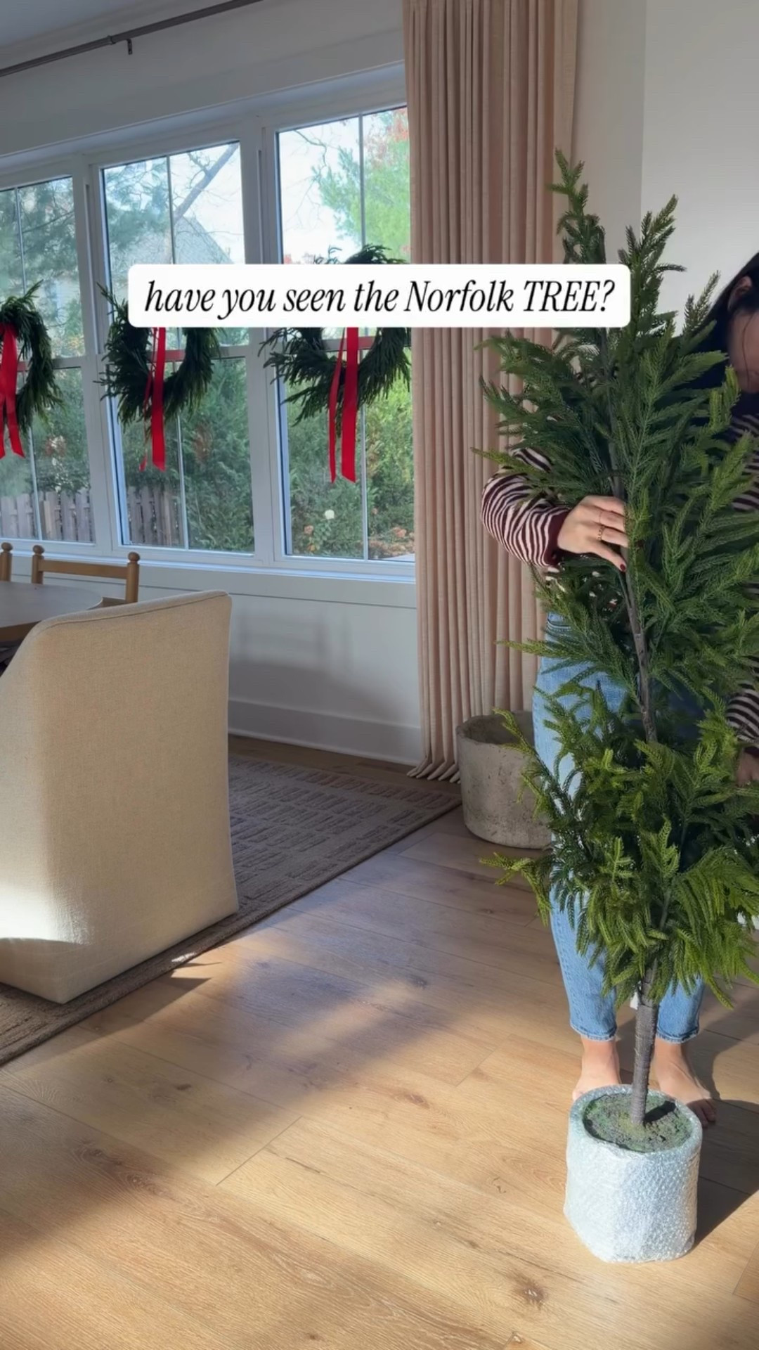 If you have Norfolk wreaths or garland, you know how good it is. Now, there’s trees! This is the 5’ and she fits perfectly in the corner of our dining room right in a planter. No decorations needed. 




#norfolktree #diningroomtree #christmastree #christmasdiningroom

#LTKSeasonal #LTKHome #LTKHoliday
