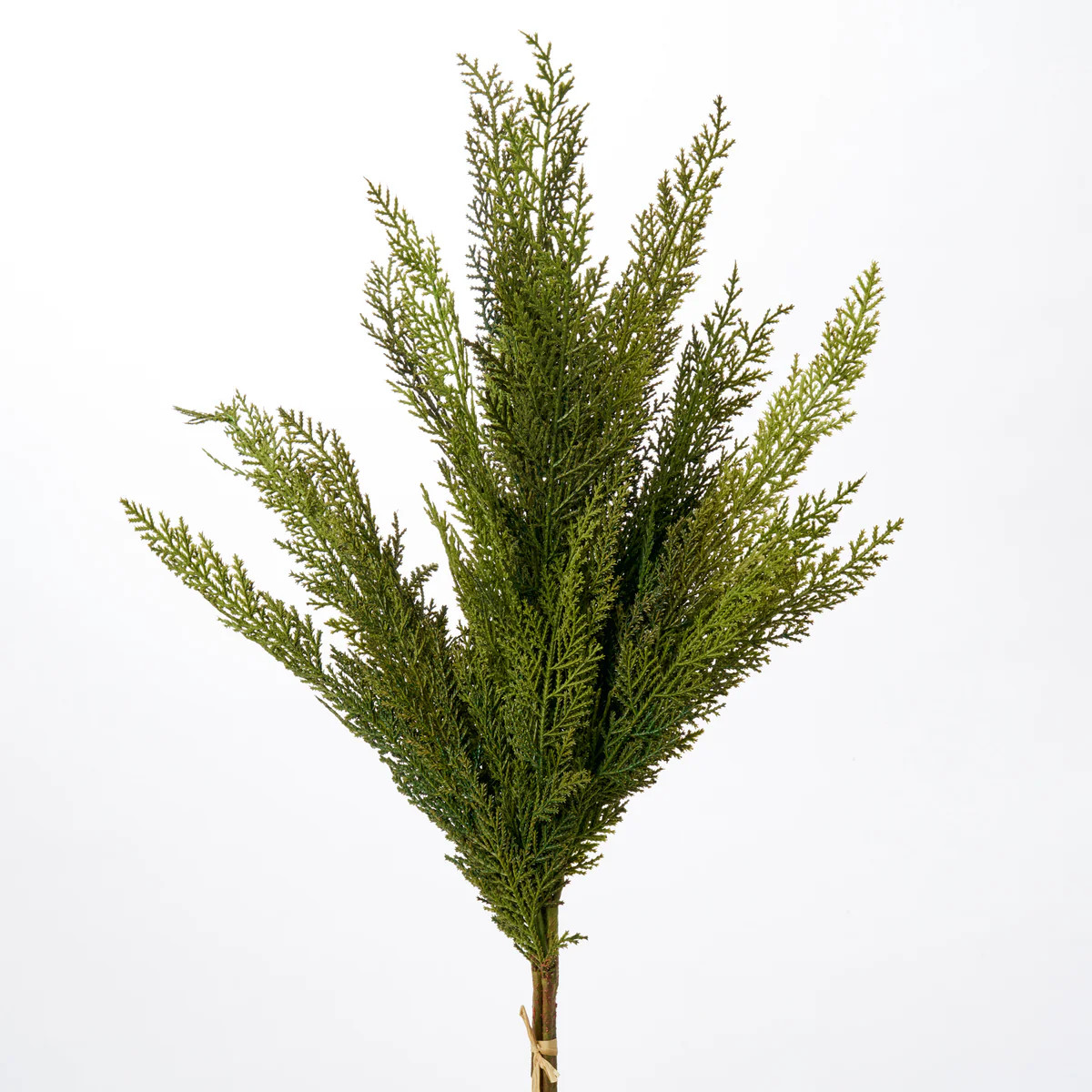Real Touch Lebanon Cedar Faux Winter Greenery Stem Bundle of 3 | Darby Creek Trading