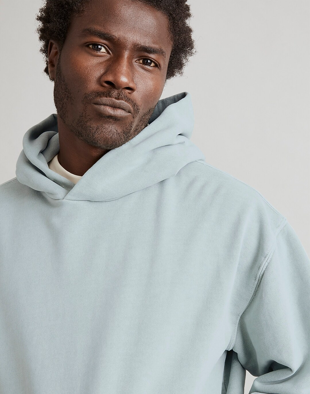 The McCarren Midweight Hoodie Sweatshirt | Madewell