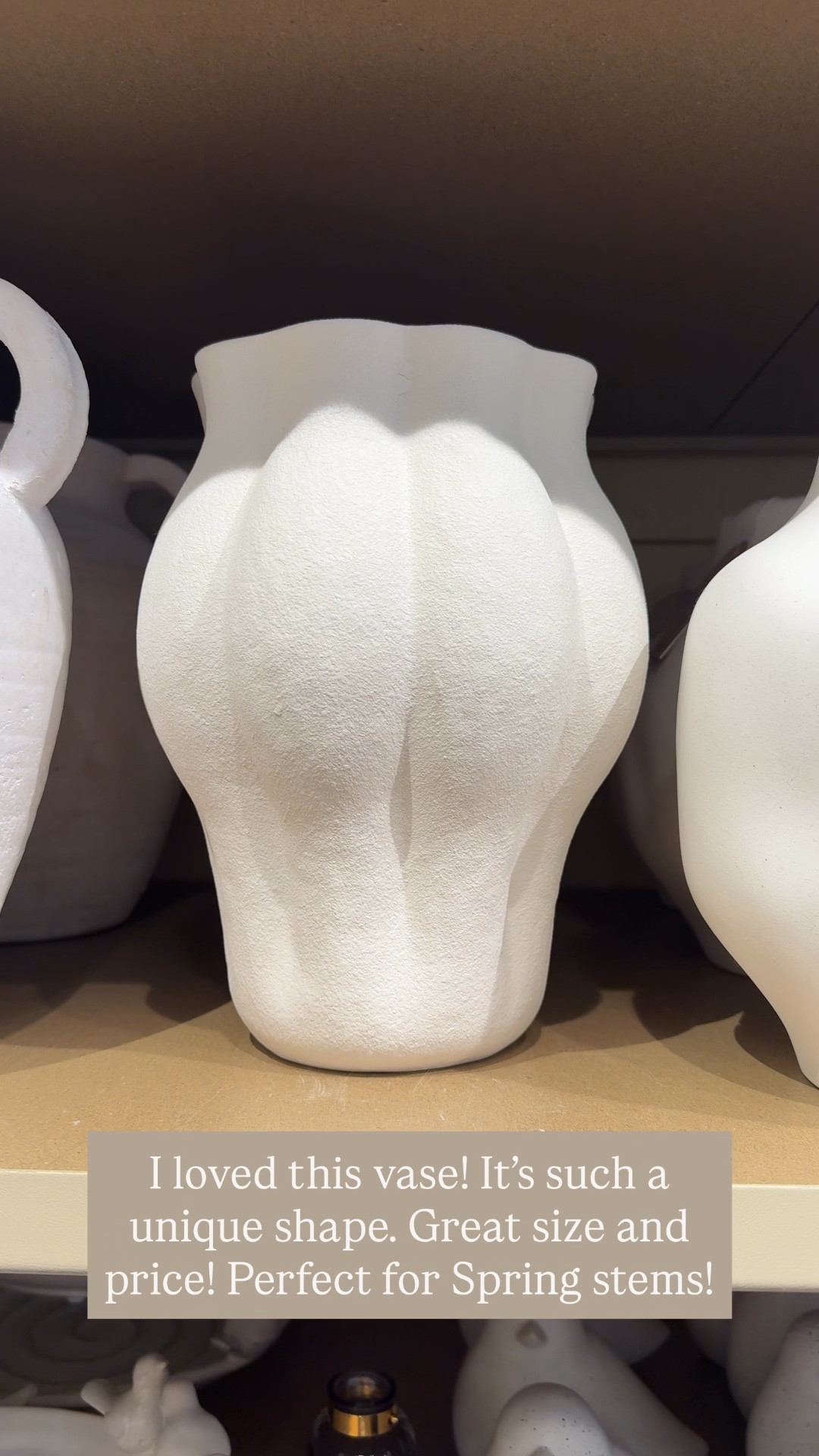 Kirklands finds | vase | abstract vase | organic modern | spring decor | neutral home decor | florals | affordable home decor 

#LTKHome #LTKSaleAlert