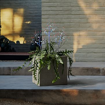 Light-Up Trees | West Elm (US)