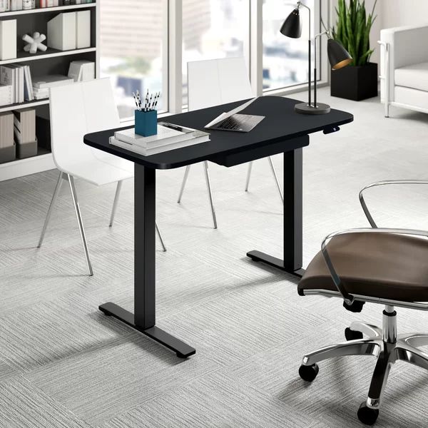 Sabine Electric Adjustable Standing Desk | Wayfair North America