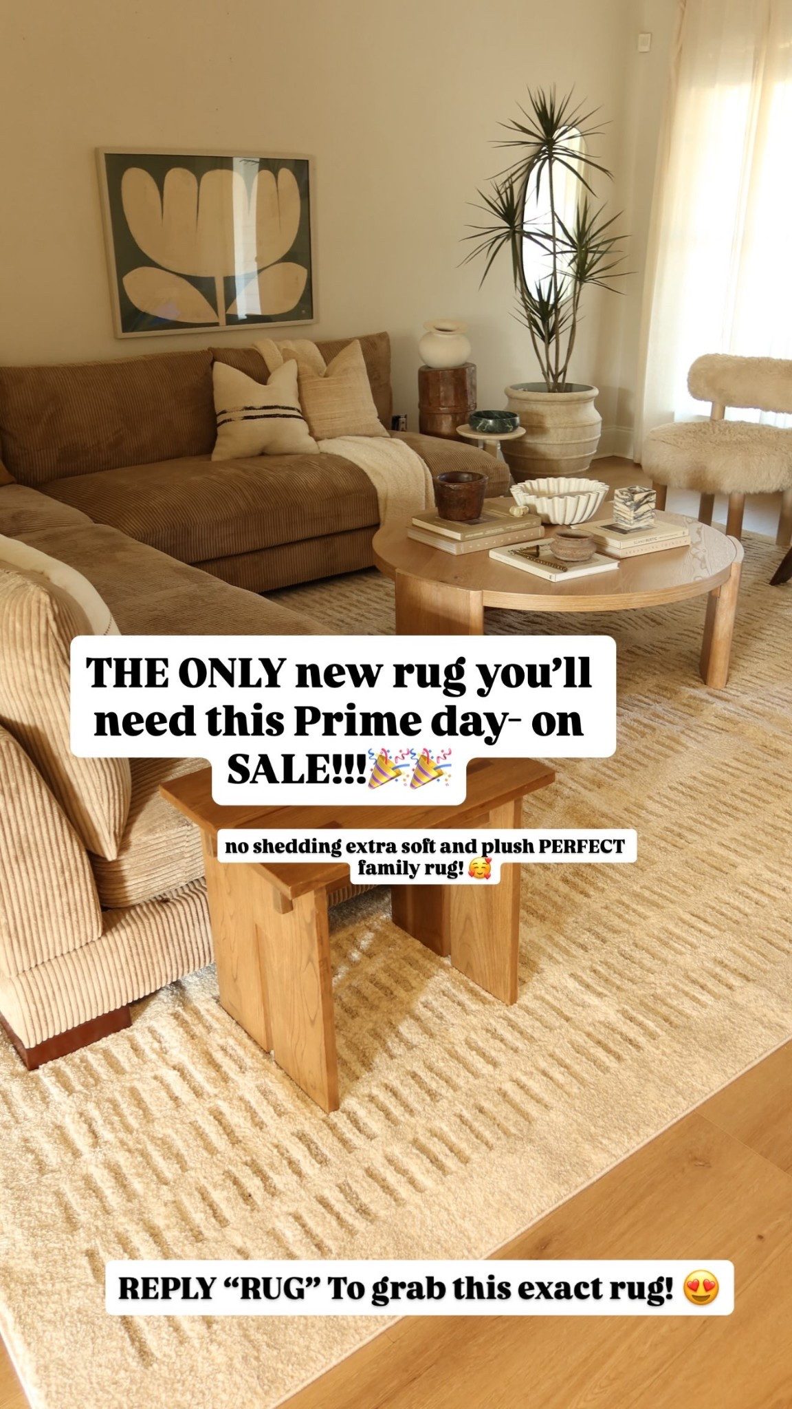 THE ONLY new rug you’ll need this Prime day- on SALE!!!🎉🎉 REPLY “RUG” To grab this exact rug! 😍 no shedding extra soft and plush PERFECT family rug! 🥰