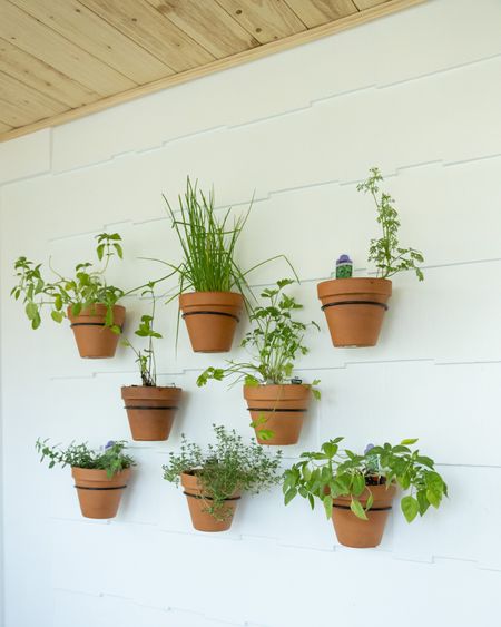 Fresh herb wall with terracotta pots. 🪴 


#LTKunder50 #LTKhome #LTKSeasonal