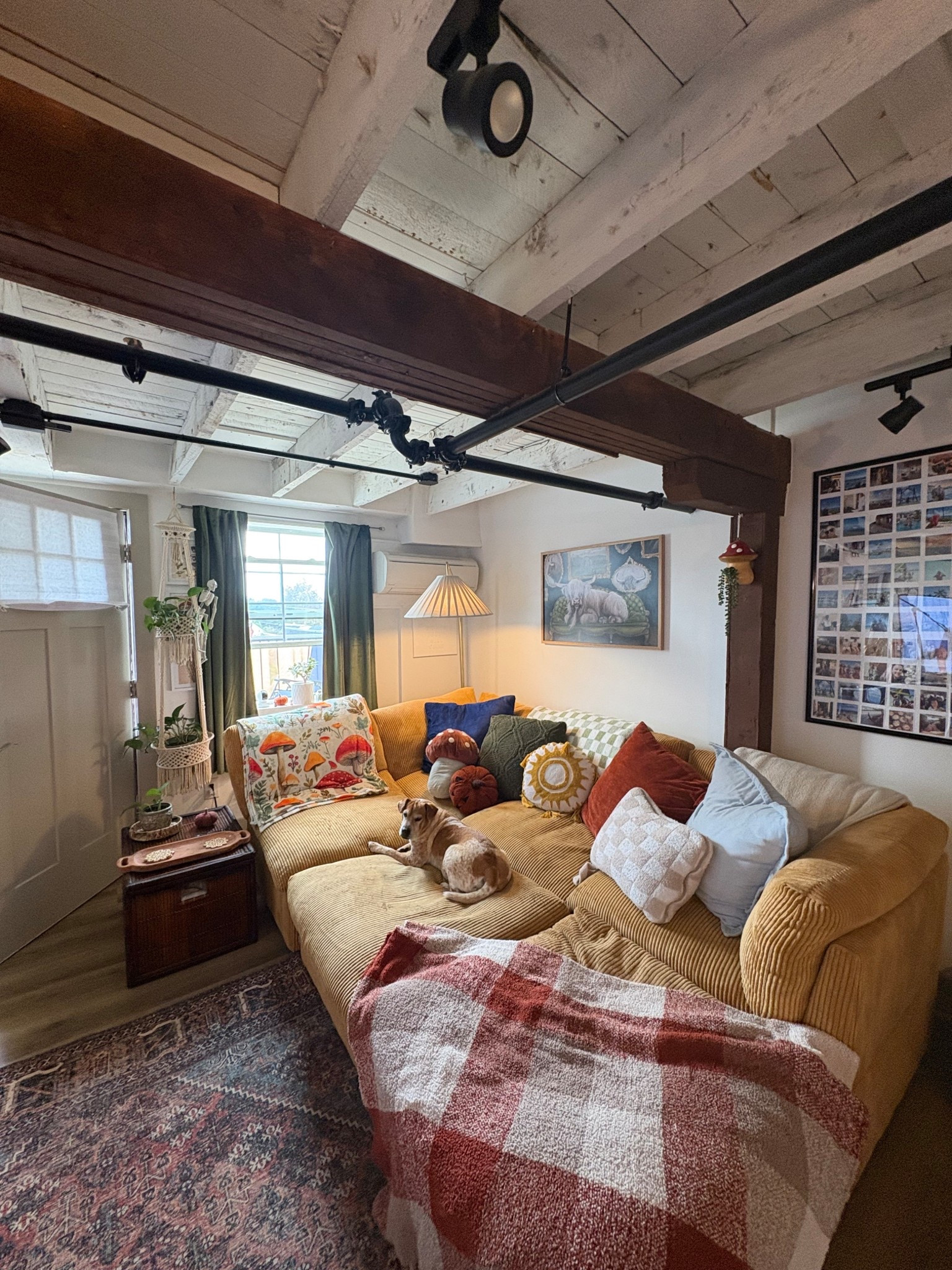 🤎🍂

#LTKSeasonal #LTKFallSale #LTKHome