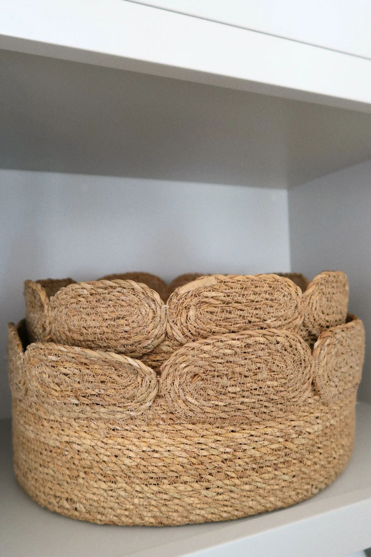 Full Bloom Scallop Basket - 2 Sizes | THELIFESTYLEDCO