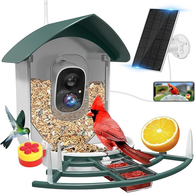 Bird Feeder with Camera Outdoor - Bird Watching Camera Solar Powered, 1080P HD AI Smart Bird Feed... | Amazon (US)