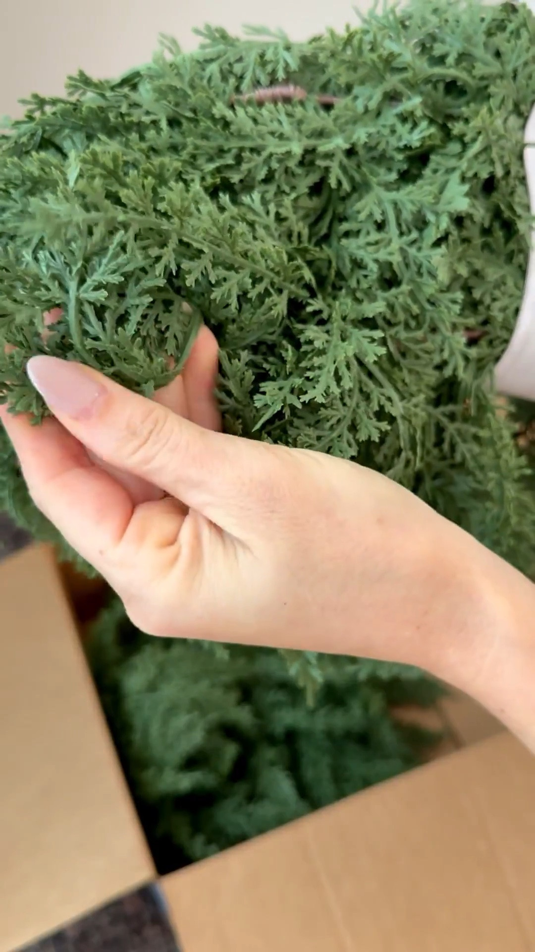 ✨ The coziest way to bring the holidays home → this 9ft faux cedar garland looks so real, you’d never guess it’s not fresh! 🌲 Perfect for mantels, stair rails, or layered over a console table for that seaside holiday chic look. Linking it on my LTK so you can grab it before it sells out! #LTKhome #LTKholiday #LTKseasonal #HolidayDecor #ChristmasGarland #CedarGarland #MantelDecor #FauxGarland #HolidayHomeDecor #ChristmasDecorIdeas #NeutralHolidayDecor #ClassicChristmas #ModernFarmhouseDecor #WinterDecor #LTKfinds

#LTKSeasonal #LTKFamily #LTKHome