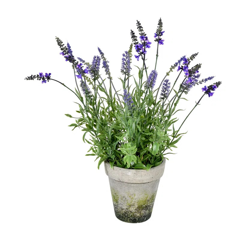 Arrangement in Pot | Wayfair North America