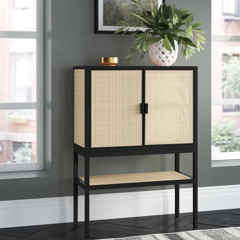 Modicaa Solid Wood 2 - Door Accent Cabinet | Wayfair North America