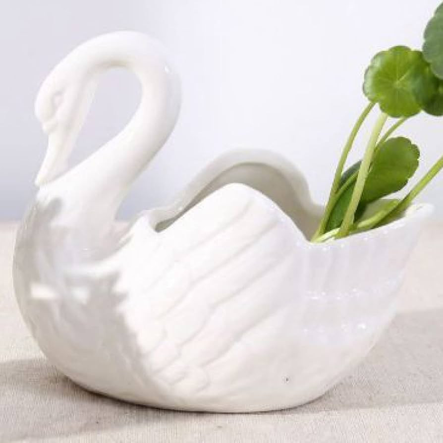 Home Garden White Swan Ceramic Succulent Flower Pot Artwork Office Balcony Desktop Decoration Pla... | Amazon (US)