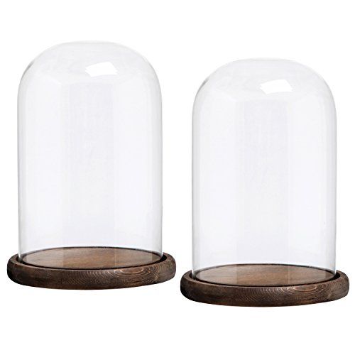 10 x 7 Inches Clear Glass Cloche Bell Jar Display Case with Round Wood Base, Set of 2 | Amazon (US)