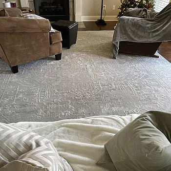 Bolsover Area Rug | Boutique Rugs