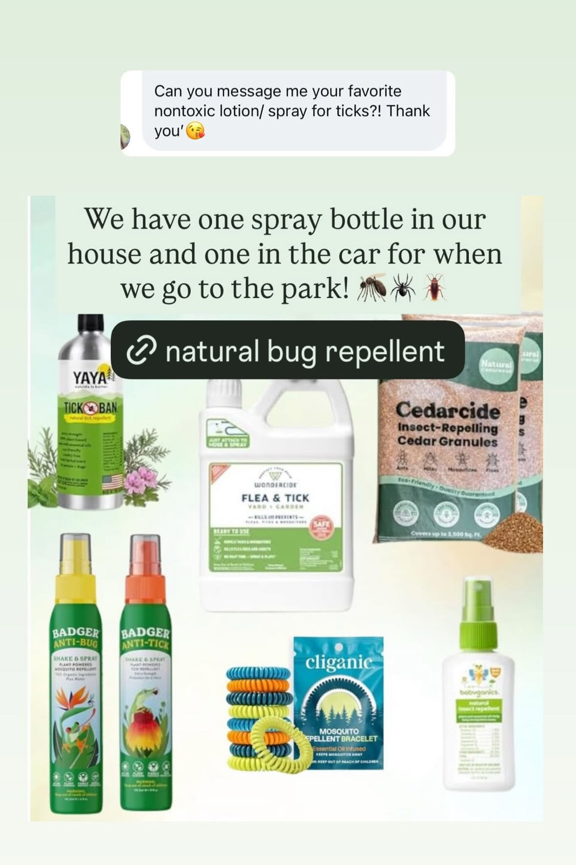 Natural Bug Repellent 🙌🏽 #summer #allnatural #bugbites 