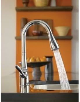 Moen Arbor Spot Resist Stainless One-Handle Pulldown Kitchen Faucet with Sprayer and a Reflex Doc... | Amazon (US)
