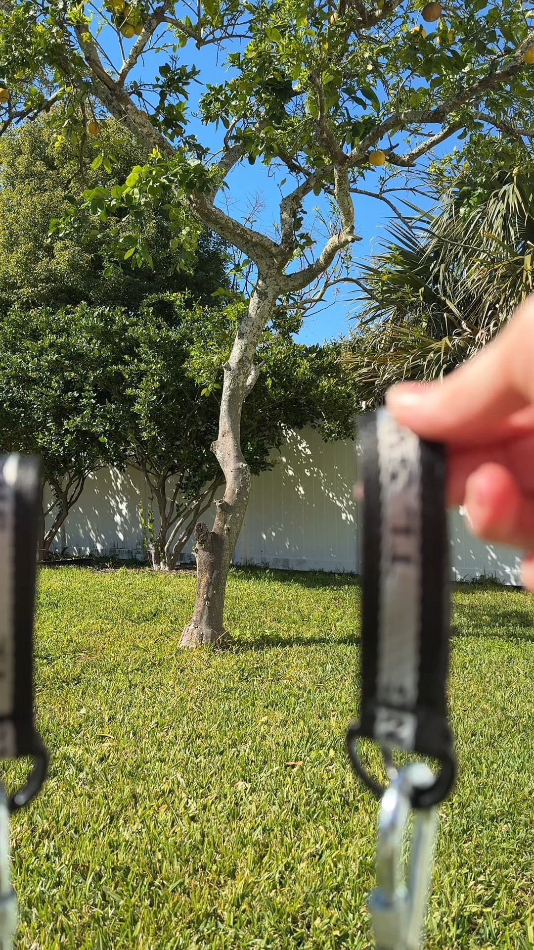 Our new favorite outdoor activity for under $50! ☀️

#LTKFamily #LTKBaby