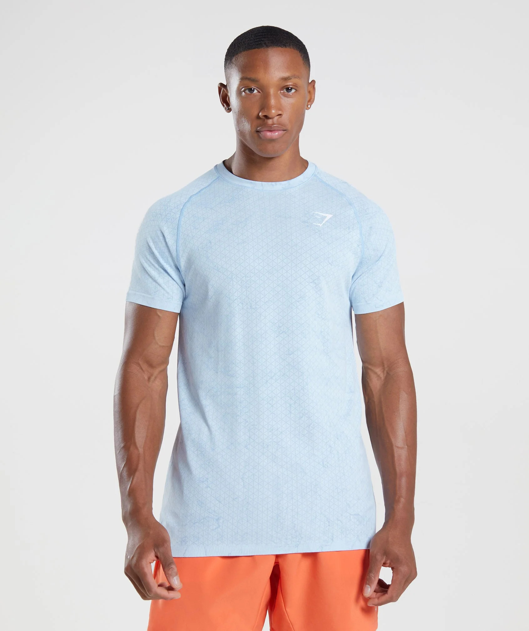 Gymshark Geo Seamless T-Shirt - White/Moonstone Blue | Gymshark US