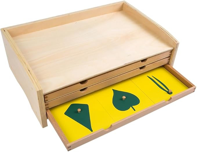 Kinderhuis Botany Leaf Cabinet 18 Inserts Set, Montessori Materials, Montessori Casa Materials, M... | Amazon (US)