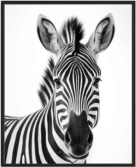 Zebra Art Prints Posters, Black and White Animal Photography Wall Art, Wildlife Nature Photo, Exo... | Amazon (US)