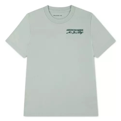 Boys' abercrombie kids Core Lockup T-Shirt | Scheels Sports