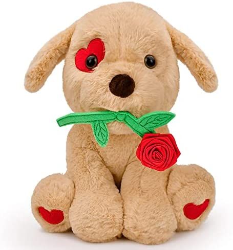 Valentines Day Gifts for Her Women Girlfriend Kids Funny Cute Plush Stuffed Animal Puppy Dog with... | Amazon (US)