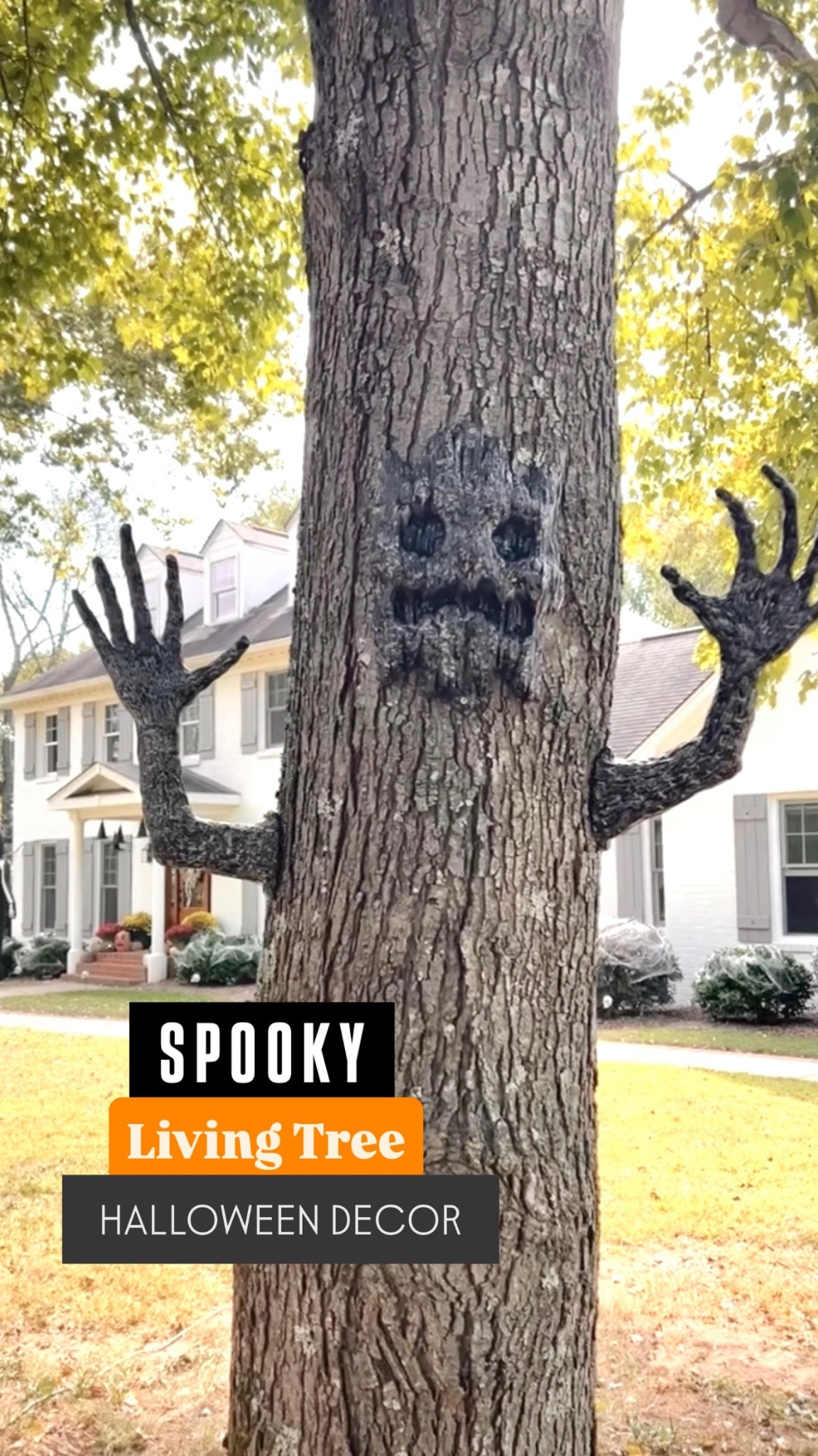 Spooky Halloween decor | outdoor Halloween decor | living tree Halloween decor | spooky outdoor decor 

#LTKSeasonal #LTKFindsUnder50 #LTKHome