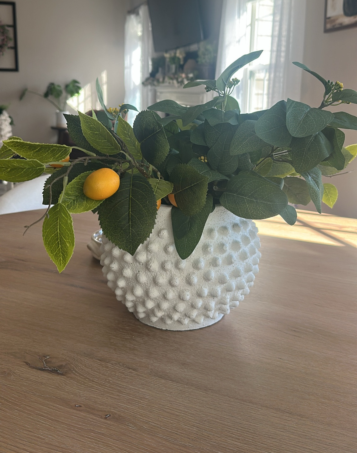 10" White Hobnail Cement Pot by Ashland®

#LTKFindsUnder50 #LTKSeasonal #LTKHome