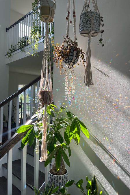 Boho Plant vibes is the way to go. You can never go wrong with a good sun catcher and beautiful macrame. #suncather #macrame #boho #plantdecore  

#LTKhome #LTKstyletip #LTKfindsunder50