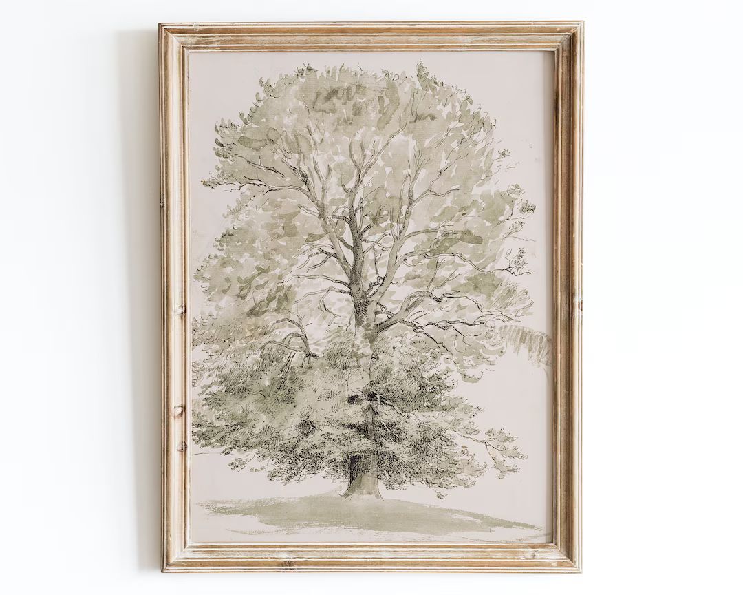 Vintage Tree Sketch Watercolor Art Print Rustic European - Etsy | Etsy (US)