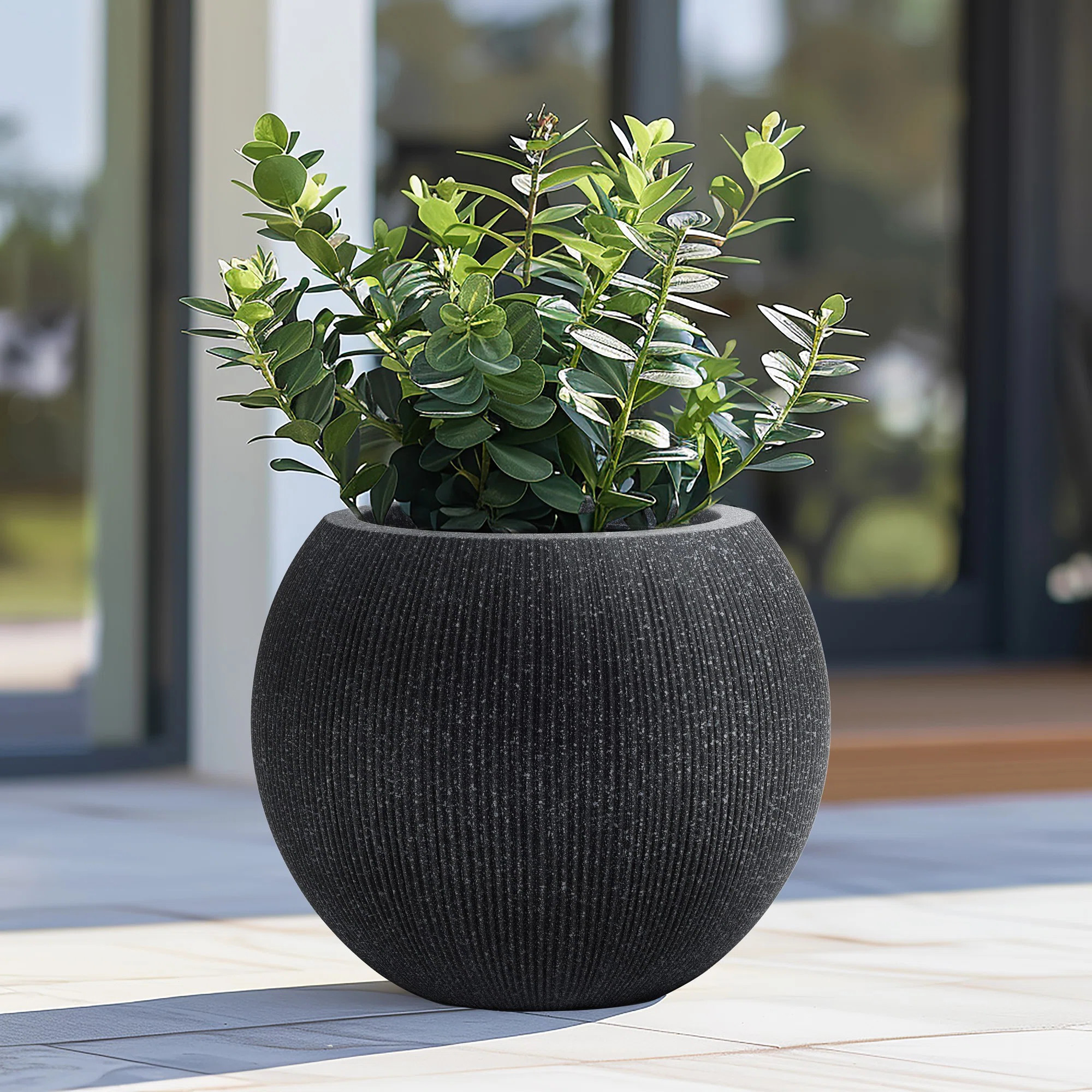 Anjonette 14.5" Mediterranean Round Bowl Plastic Pot Planter | Wayfair North America