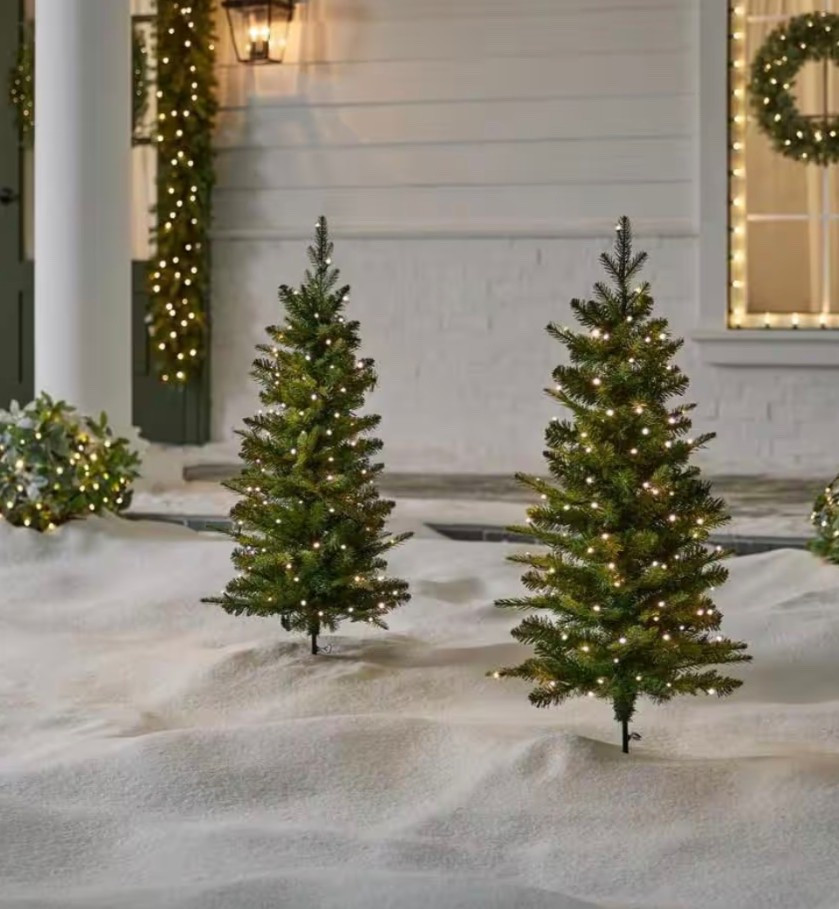 NO WAY. 2 pack of the grand duchess 4ft trees for 50$ 

#LTKHome #LTKSaleAlert #LTKFindsUnder50