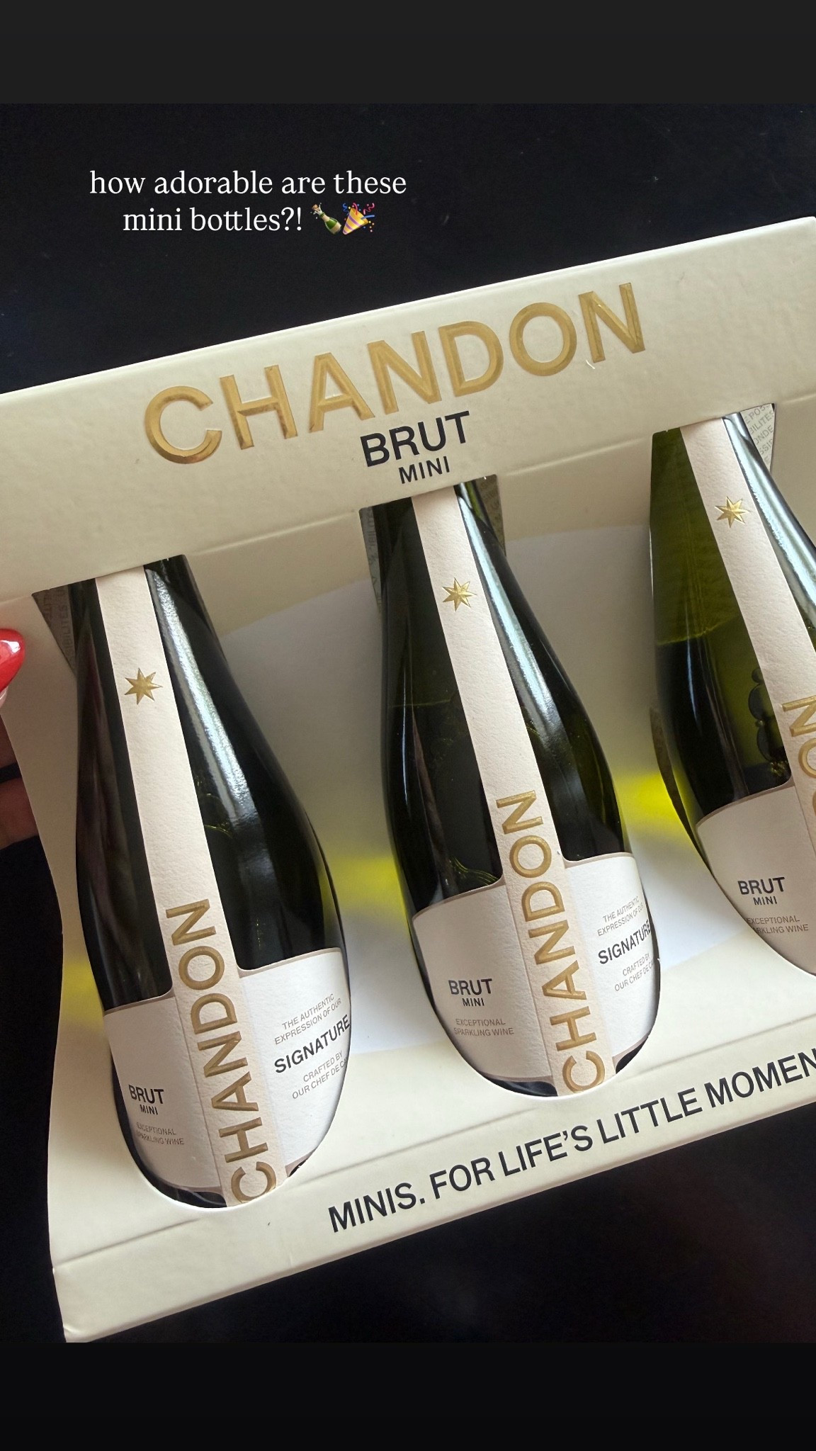 Mini champagne bottles, perfect for a gift add-on! Embellish Them with bows, ribbons, flowers, etc. 🍾

#LTKHome #LTKOver40 #LTKmomlife