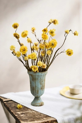 Dried Strawflower Bunch | Terrain