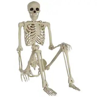 5ft. Life Size Poseable Skeleton Prop Halloween Décor | Michaels | Michaels Stores