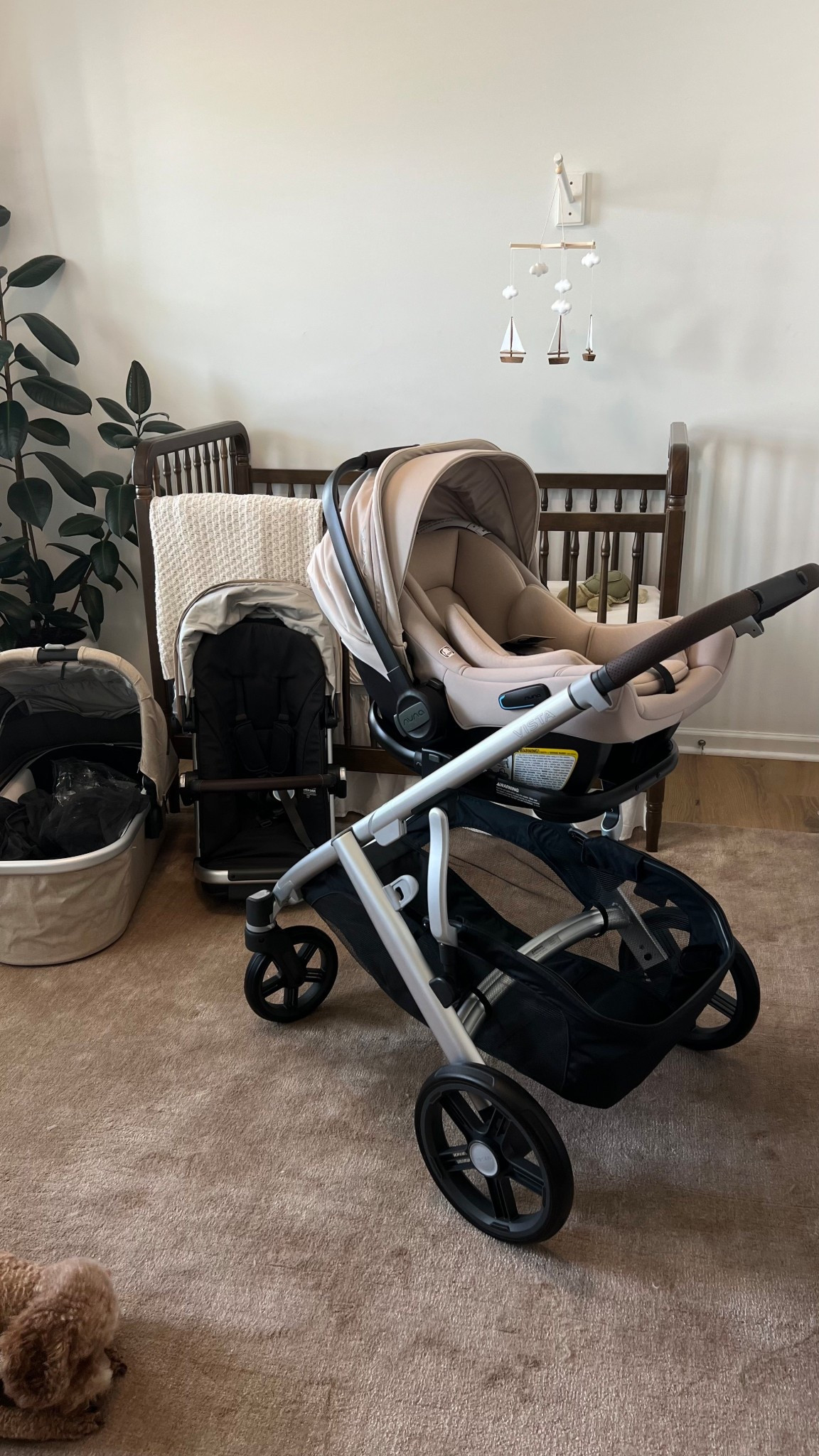 we got the uppababy vista v3 in color “declan” + the bassinet. car seat is the nuna pipa aire in color “biscotti”. went with these colors because the dark brown leather accents match perfectly!! 🤎

stroller unboxing, car seat unboxing, first time mom, nesting, 2nd trimester, baby essentials, preparing for baby, baby unboxing #nesting #babyessentials #babyunboxing #2025baby #babyregistry

#LTKFamily #LTKBaby #LTKBump