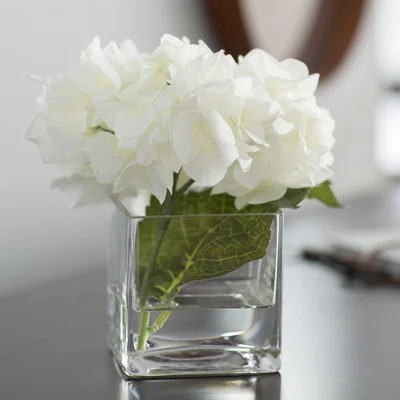 Hydrangea Floral Arrangement in Glass Vase Flower Color: White | Wayfair North America