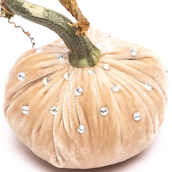 Bone With Tonal Czech Crystals | Hot Skwash